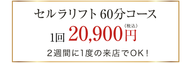 セルラリフト60分コース20900円